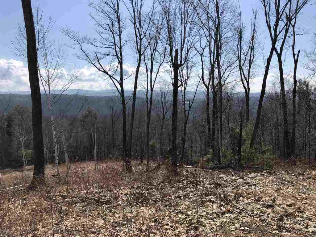 00-6 Eastman Road Hartland VT 05048