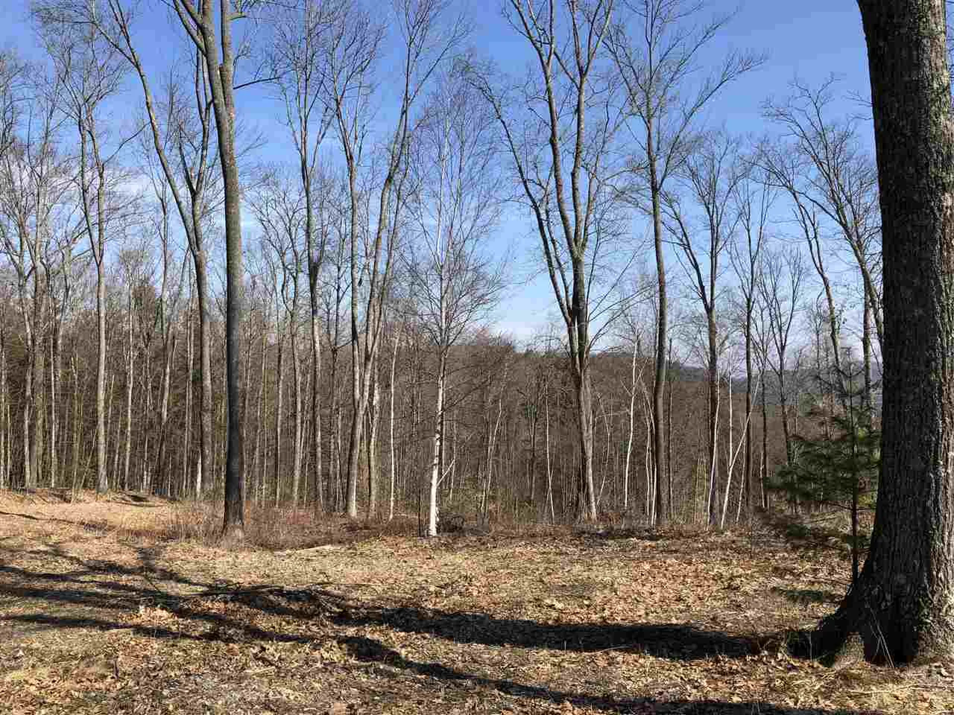 00-6 Eastman Road Hartland VT 05048