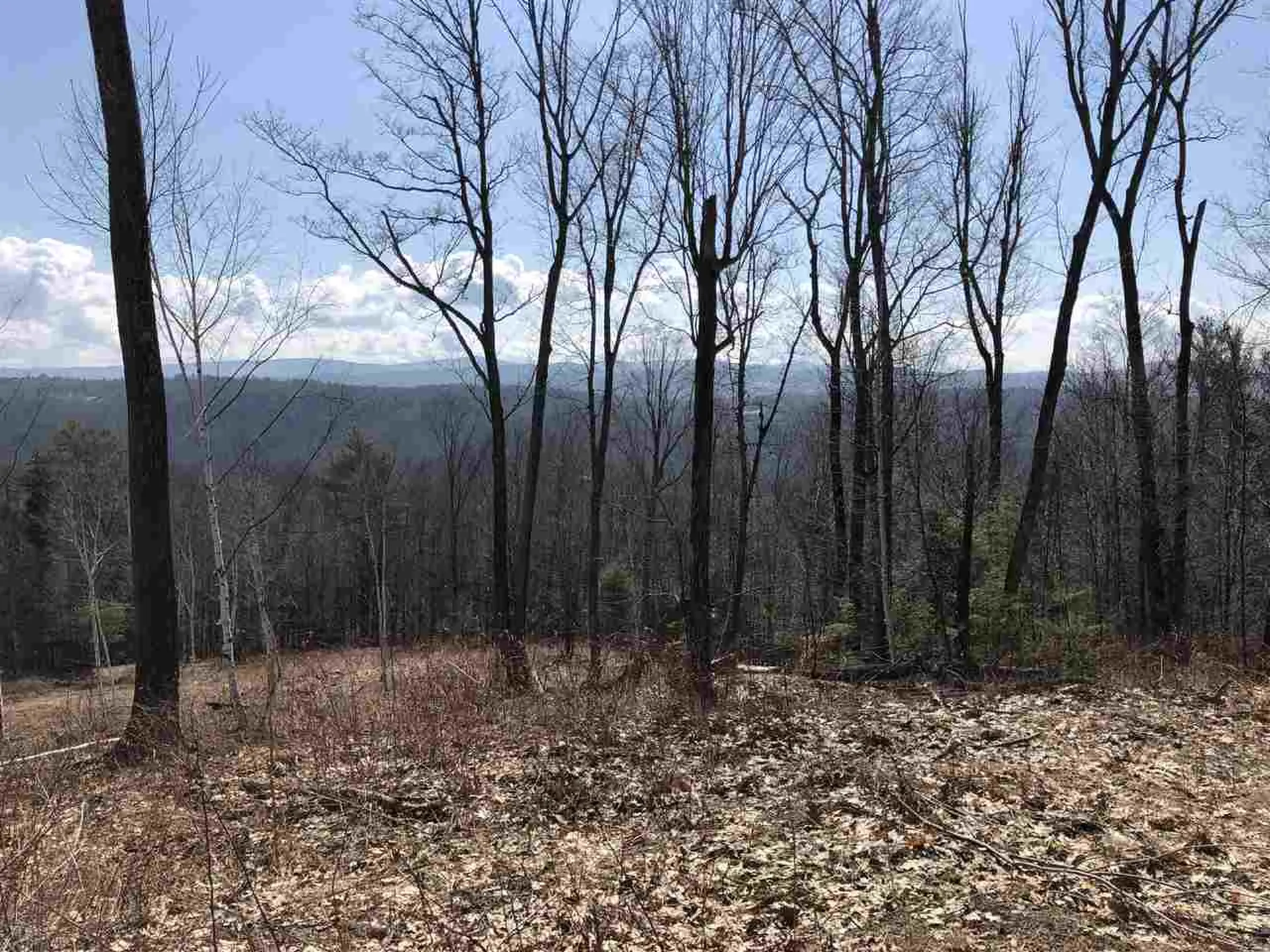 00-6 Eastman Road Hartland VT 05048