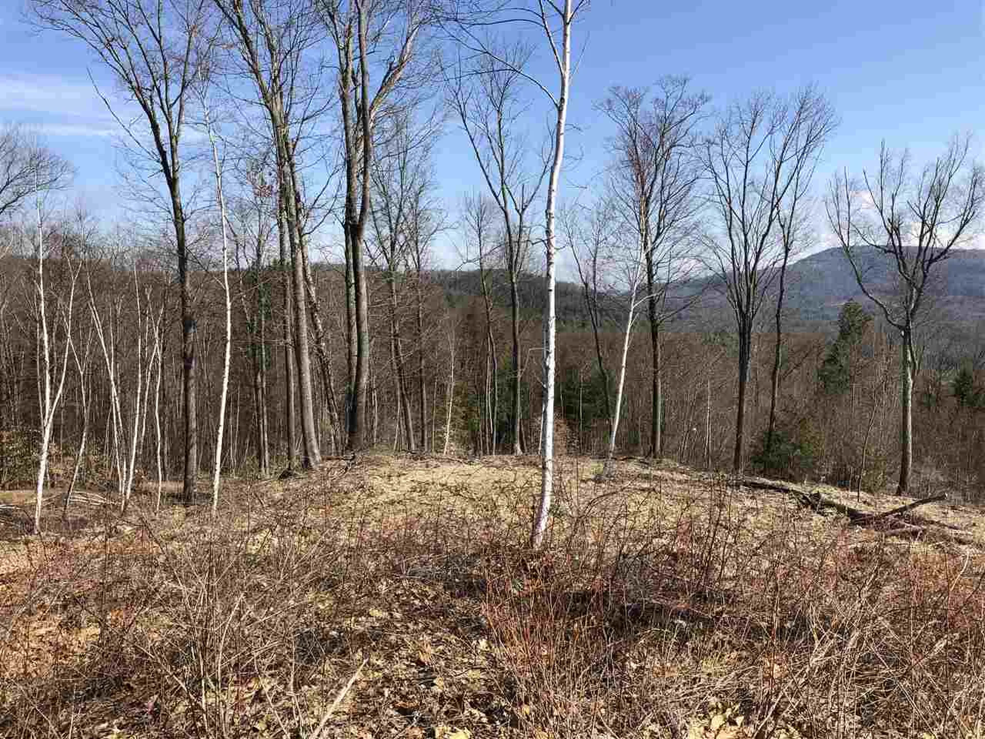 00-6 Eastman Road Hartland VT 05048