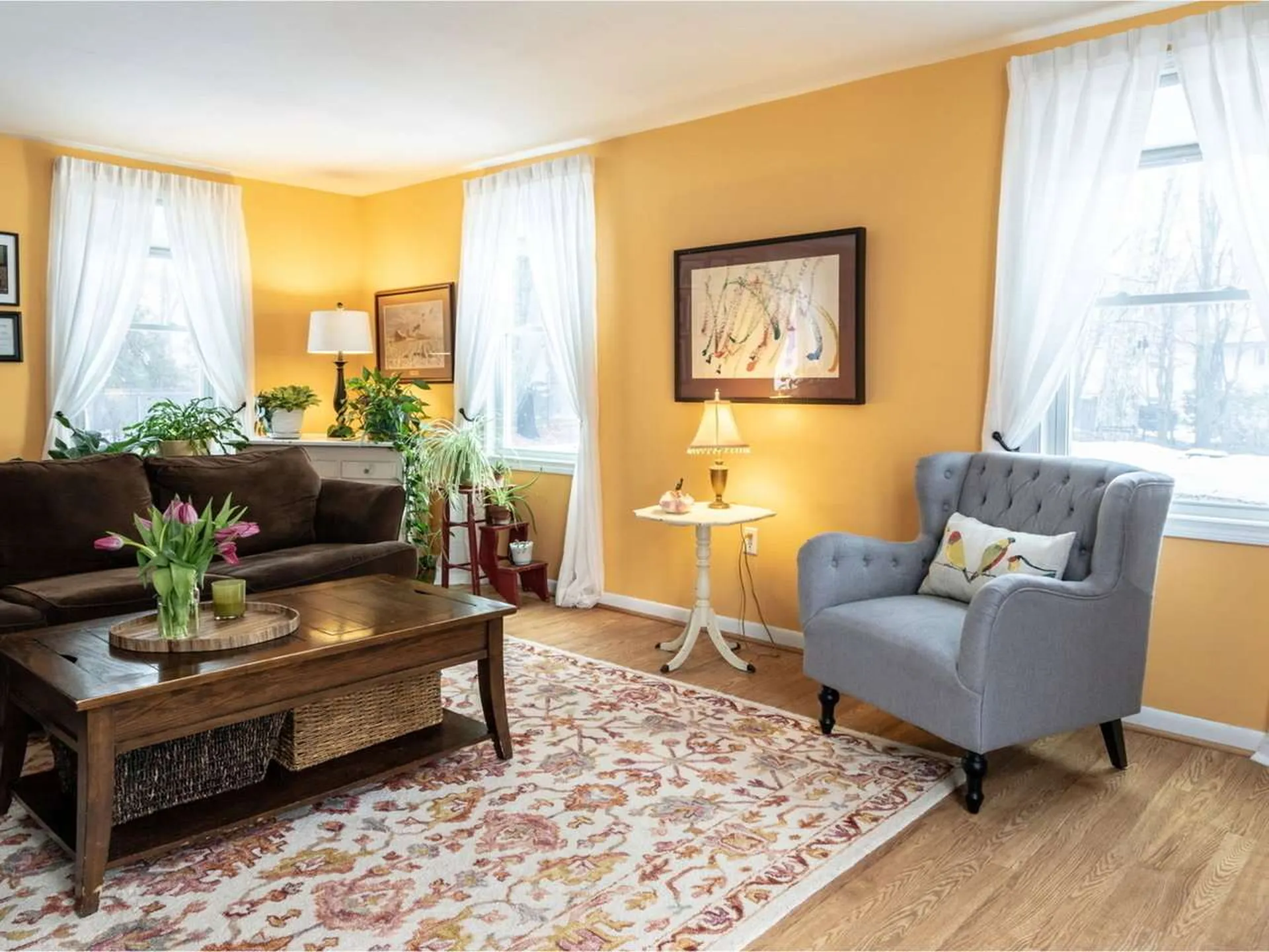57 Mcintosh Avenue South Burlington VT 05403