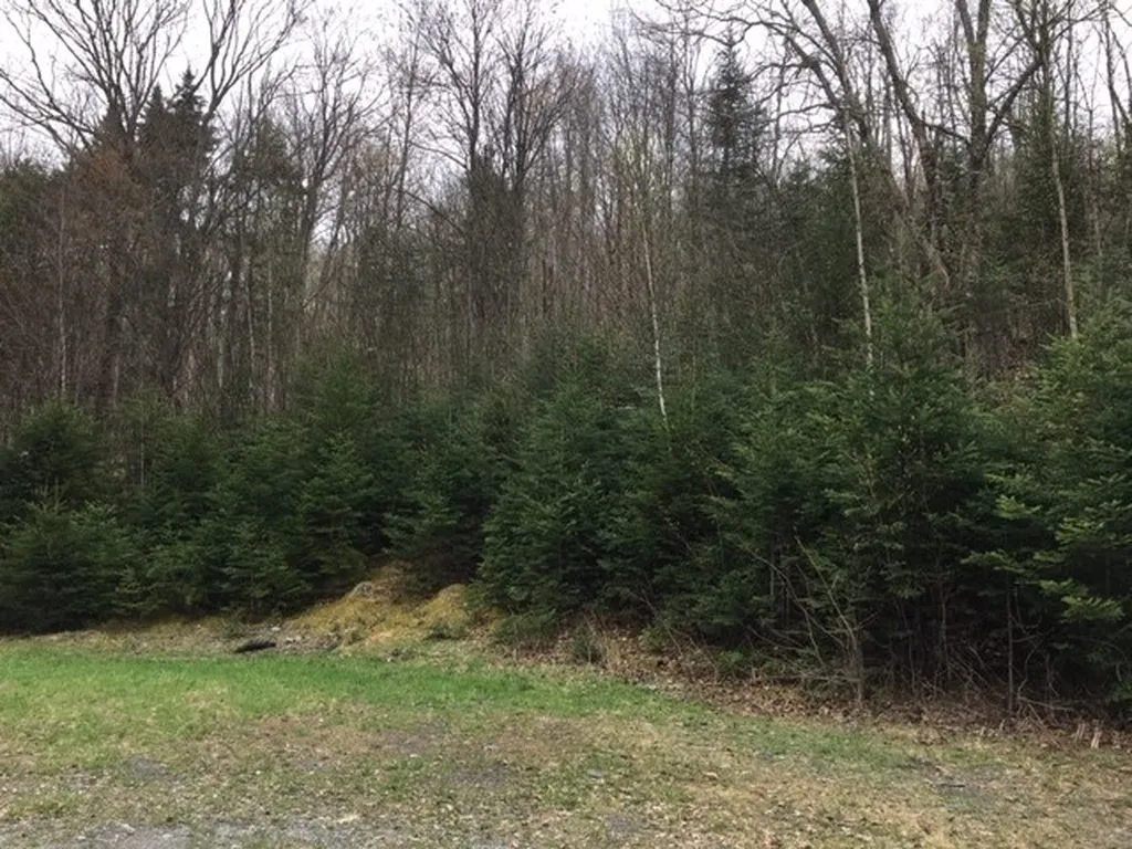 Daniel Beard Road Pittsburg NH 03592