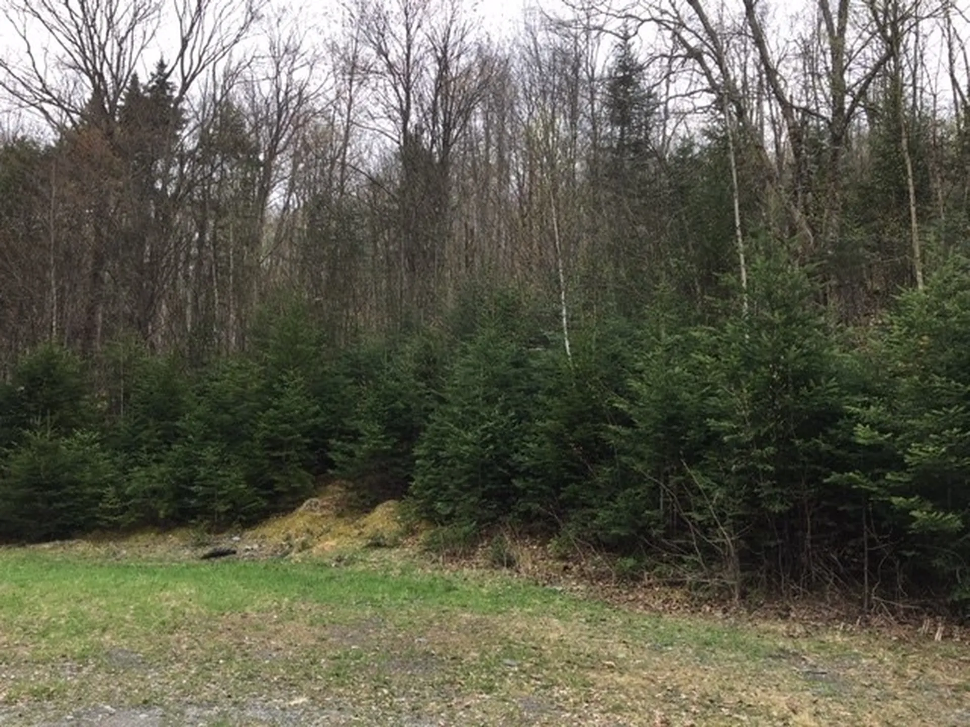 Daniel Beard Road Pittsburg NH 03592