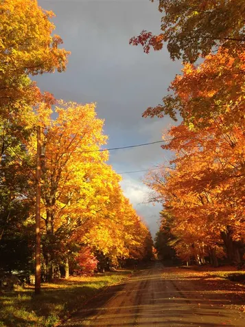 50 Ferson Road Hanover NH 03755