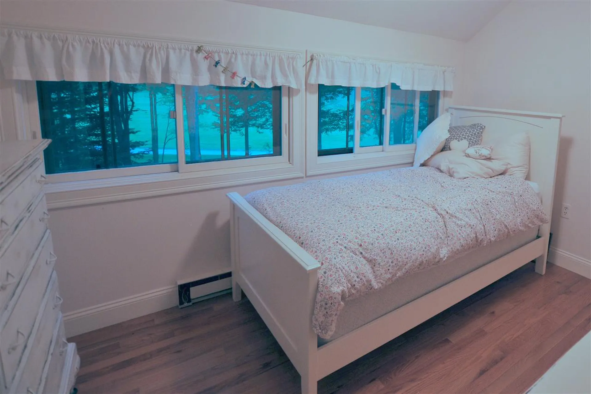5 Bunker Drive Grantham NH 03753