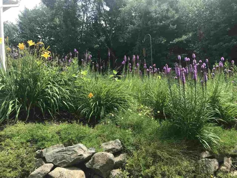 1 Surrey Lane Durham NH 03824