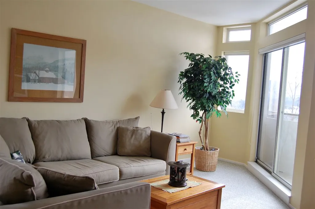 501 Village Gate Drive Warren VT 05674