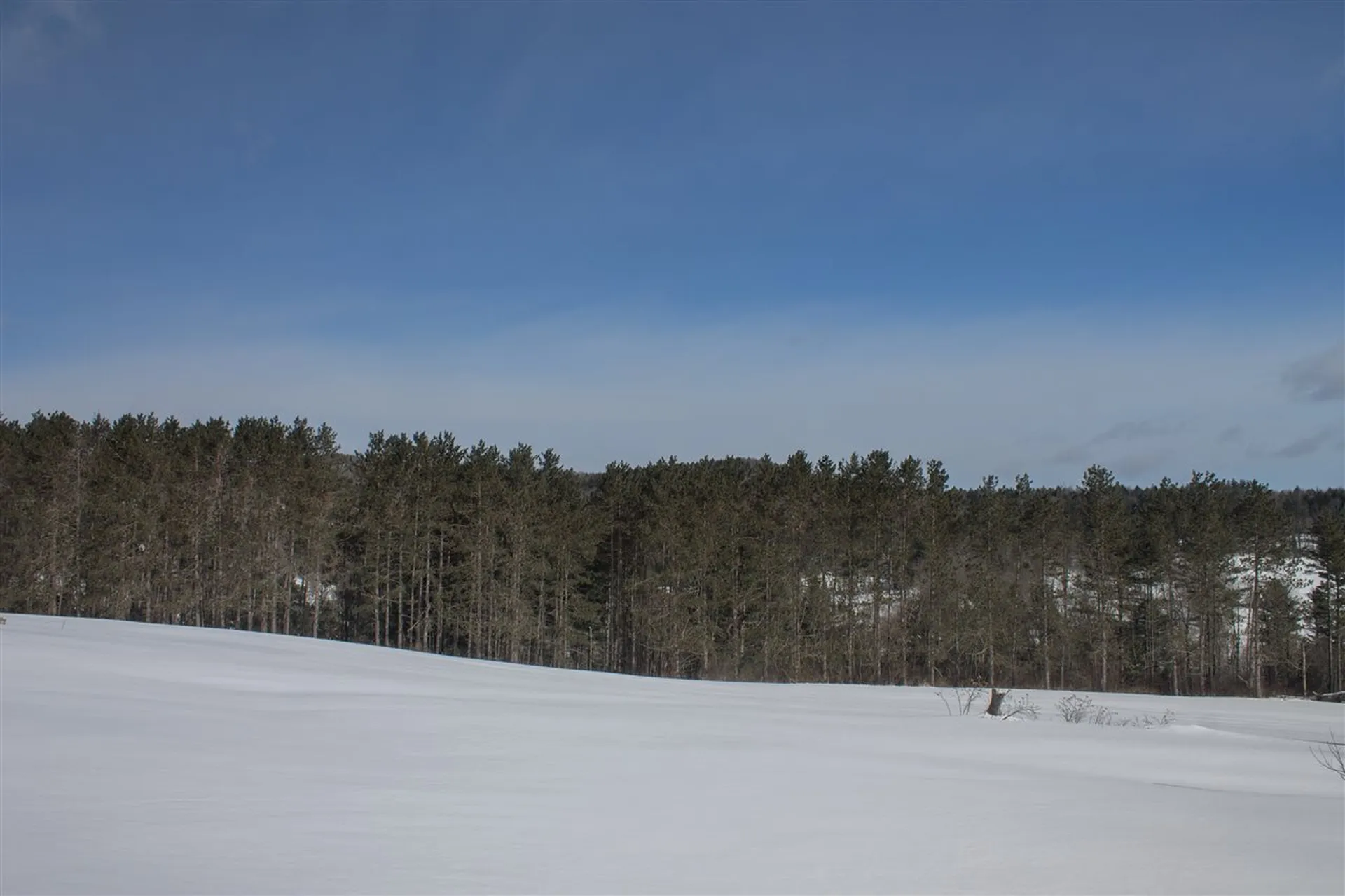 330 West Hill Road Northfield VT 05663