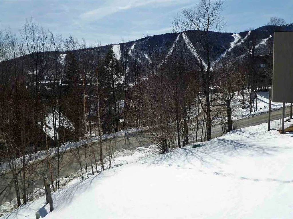 72 Trailside Drive Warren VT 05674