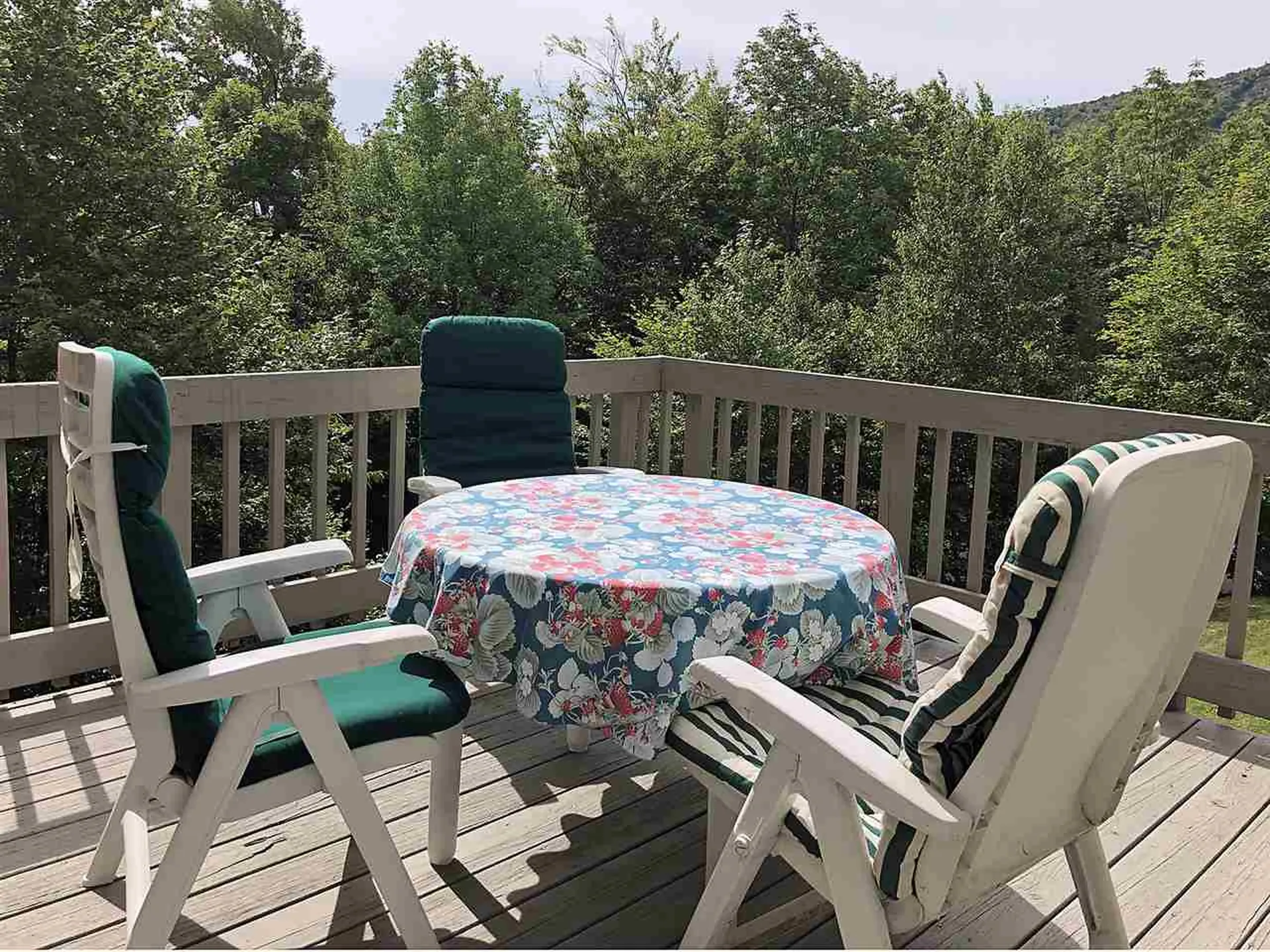 72 Trailside Drive Warren VT 05674