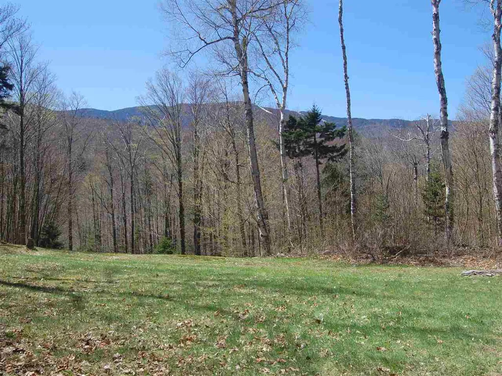 33 Long Trail Drive Fayston VT 05673