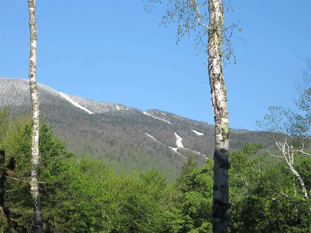 33 Long Trail Drive Fayston VT 05673