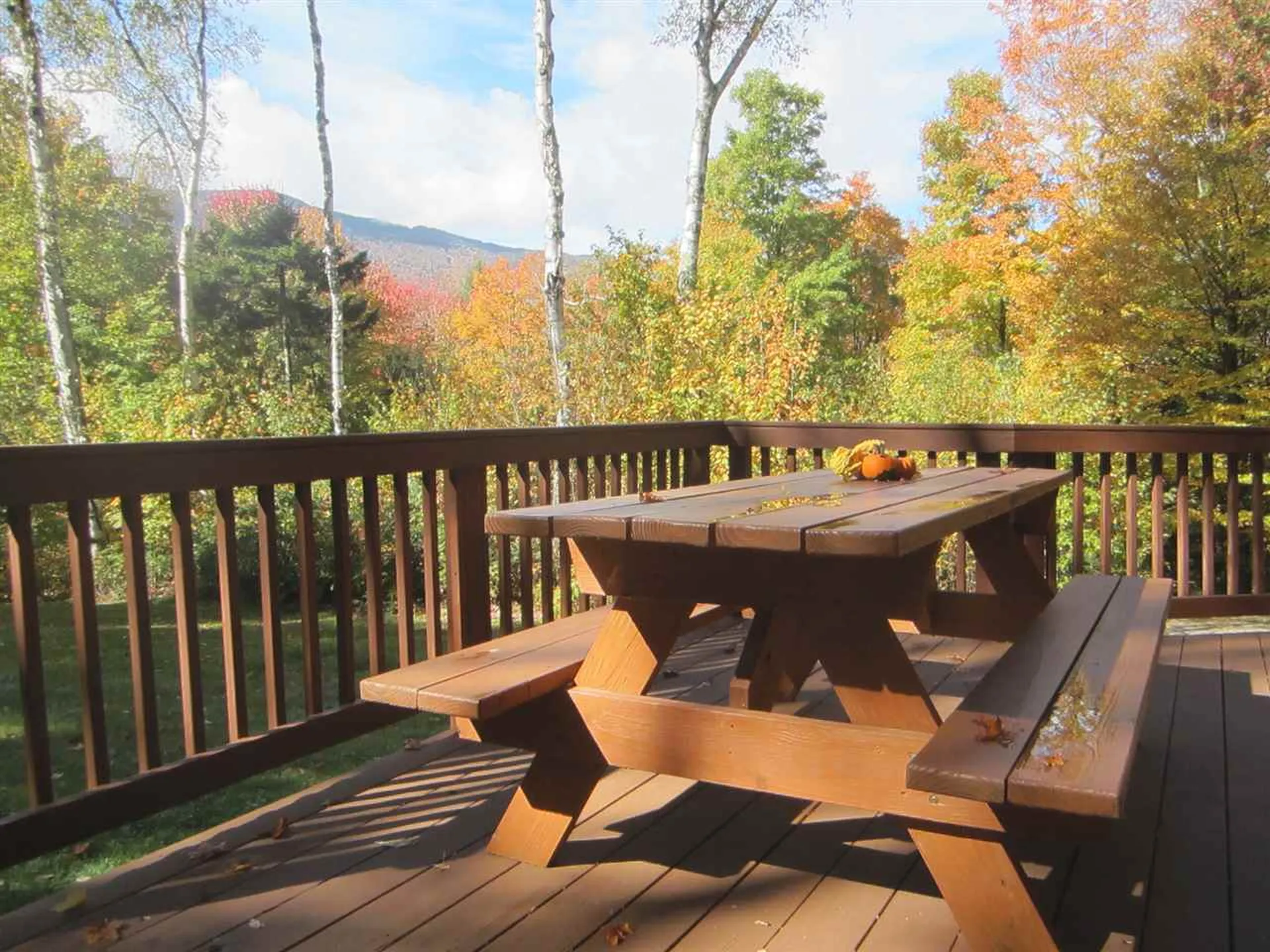 33 Long Trail Drive Fayston VT 05673