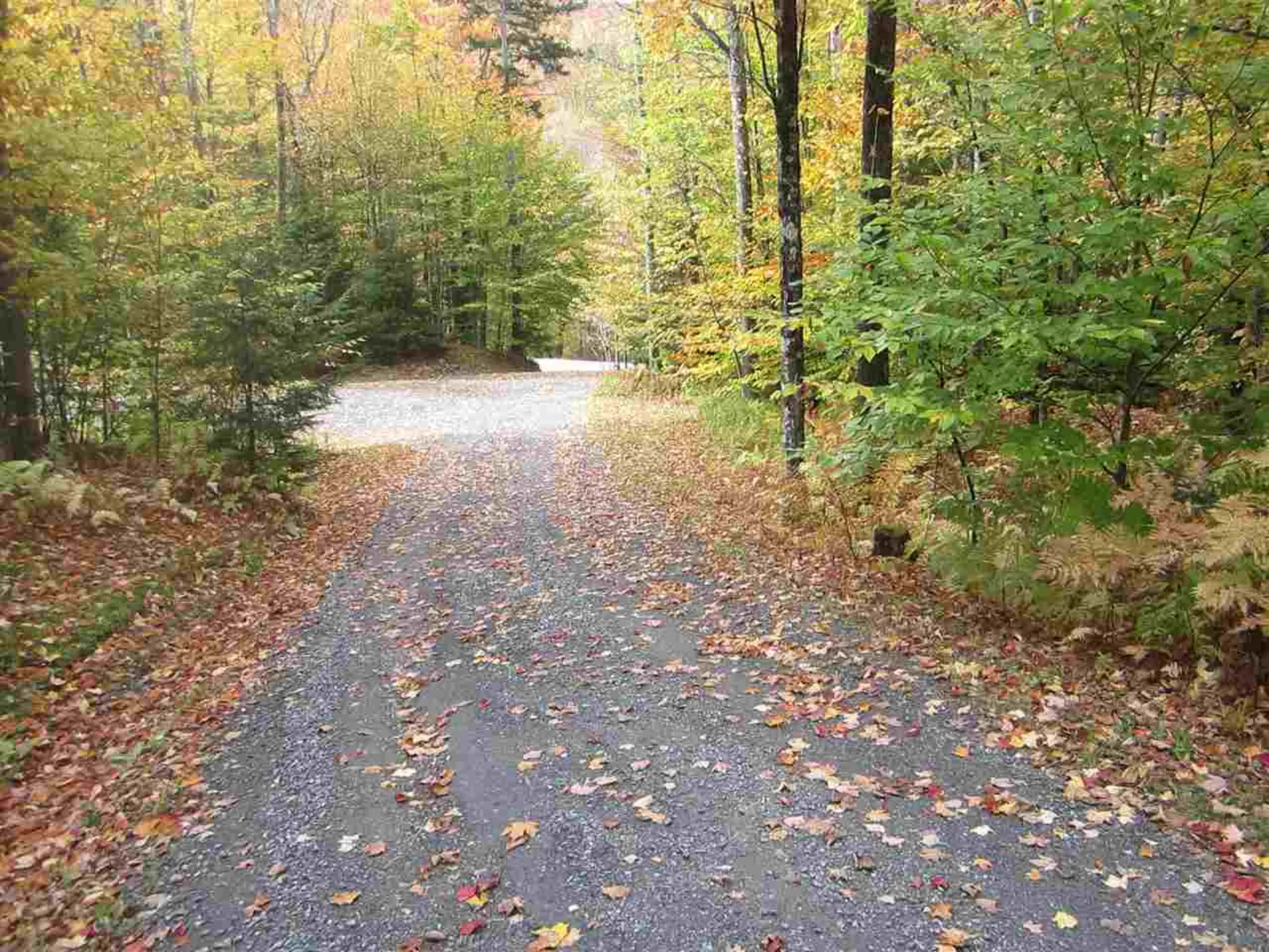 33 Long Trail Drive Fayston VT 05673