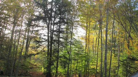 310 Hill Road Brookline VT 05345