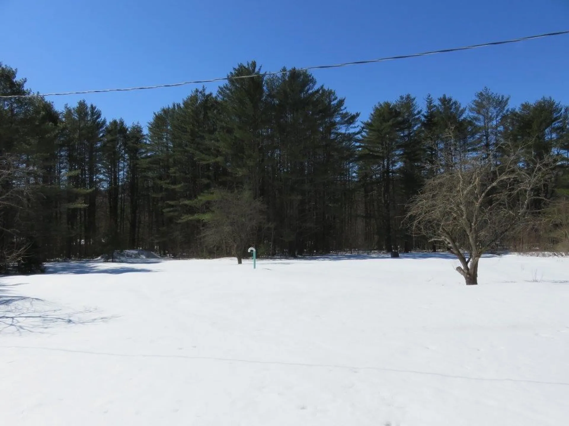 441 Razor Hill Road Grafton NH 03240