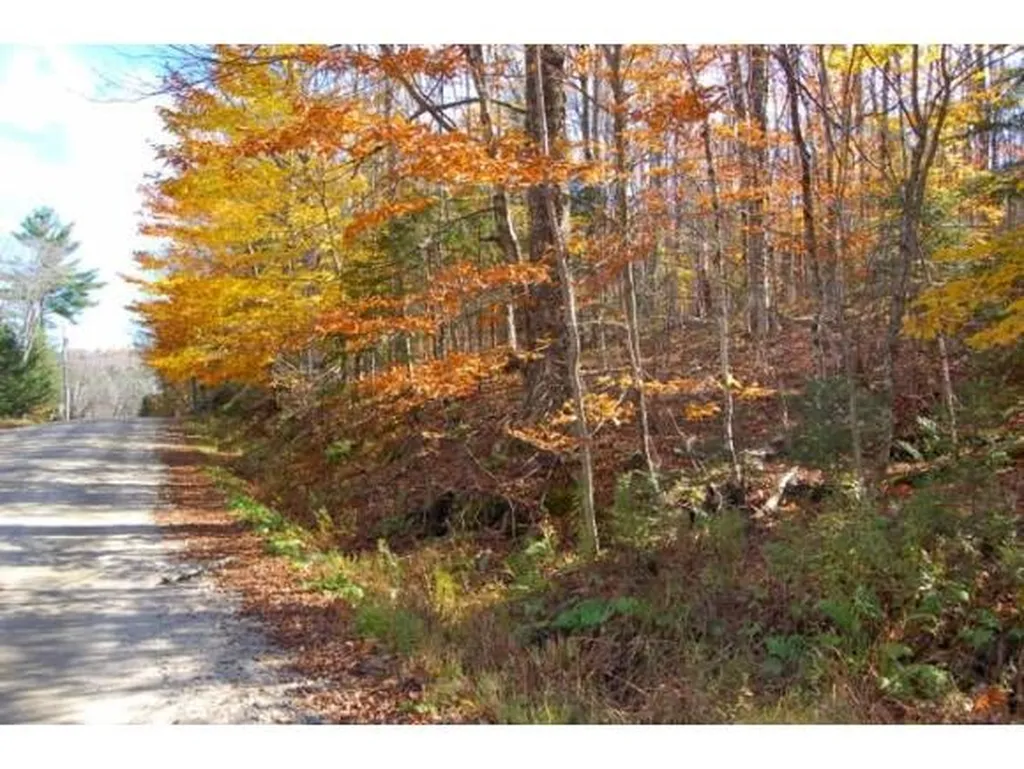 Miller Pond Road Grantham NH 03753