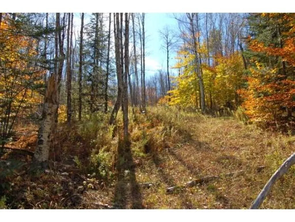 Miller Pond Road Grantham NH 03753