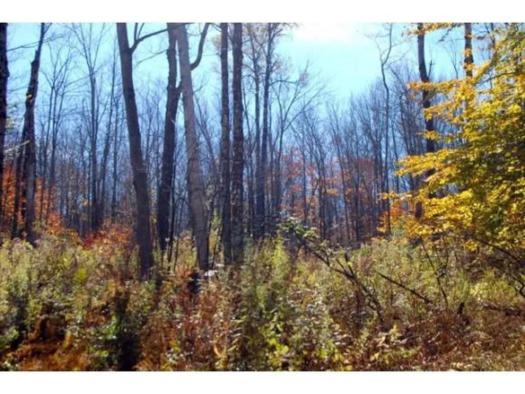 Miller Pond Road Grantham NH 03753
