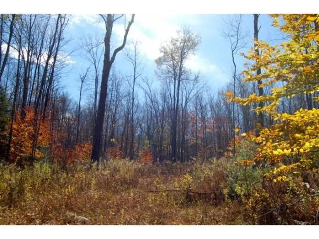 Miller Pond Road Grantham NH 03753