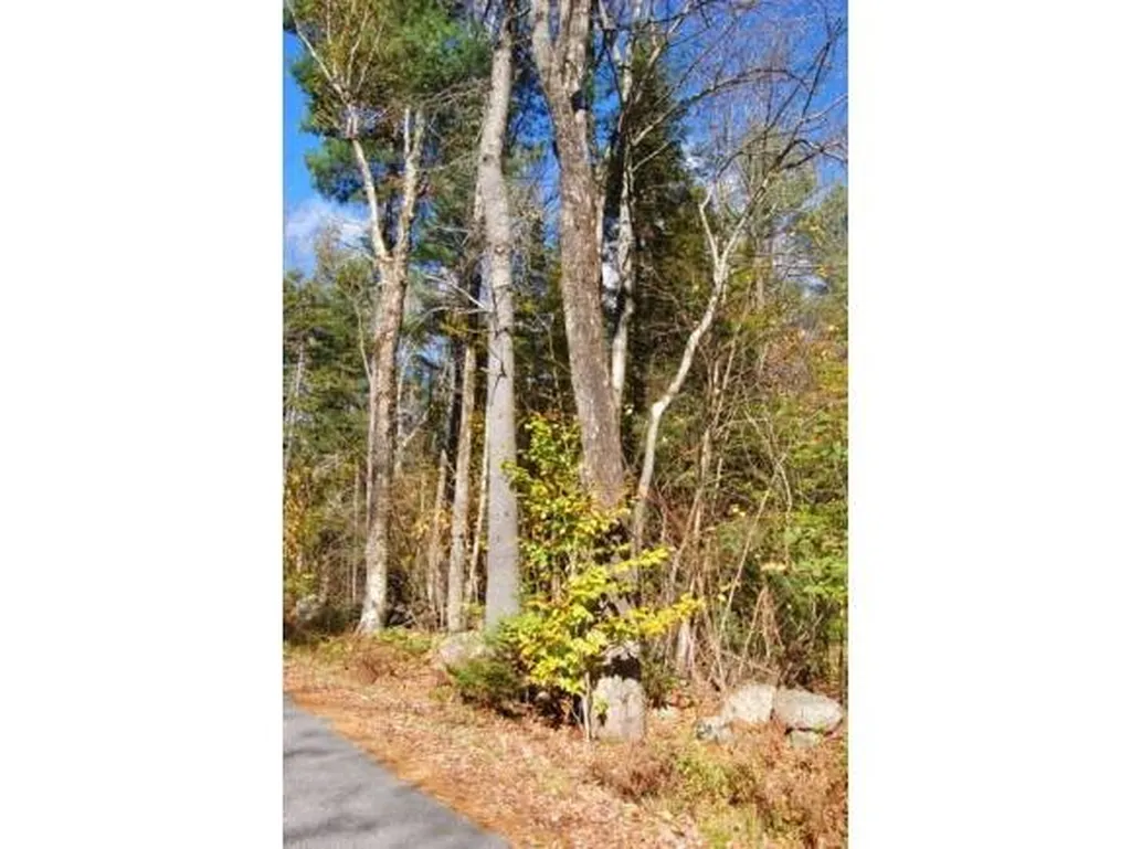 Miller Pond Road Grantham NH 03753
