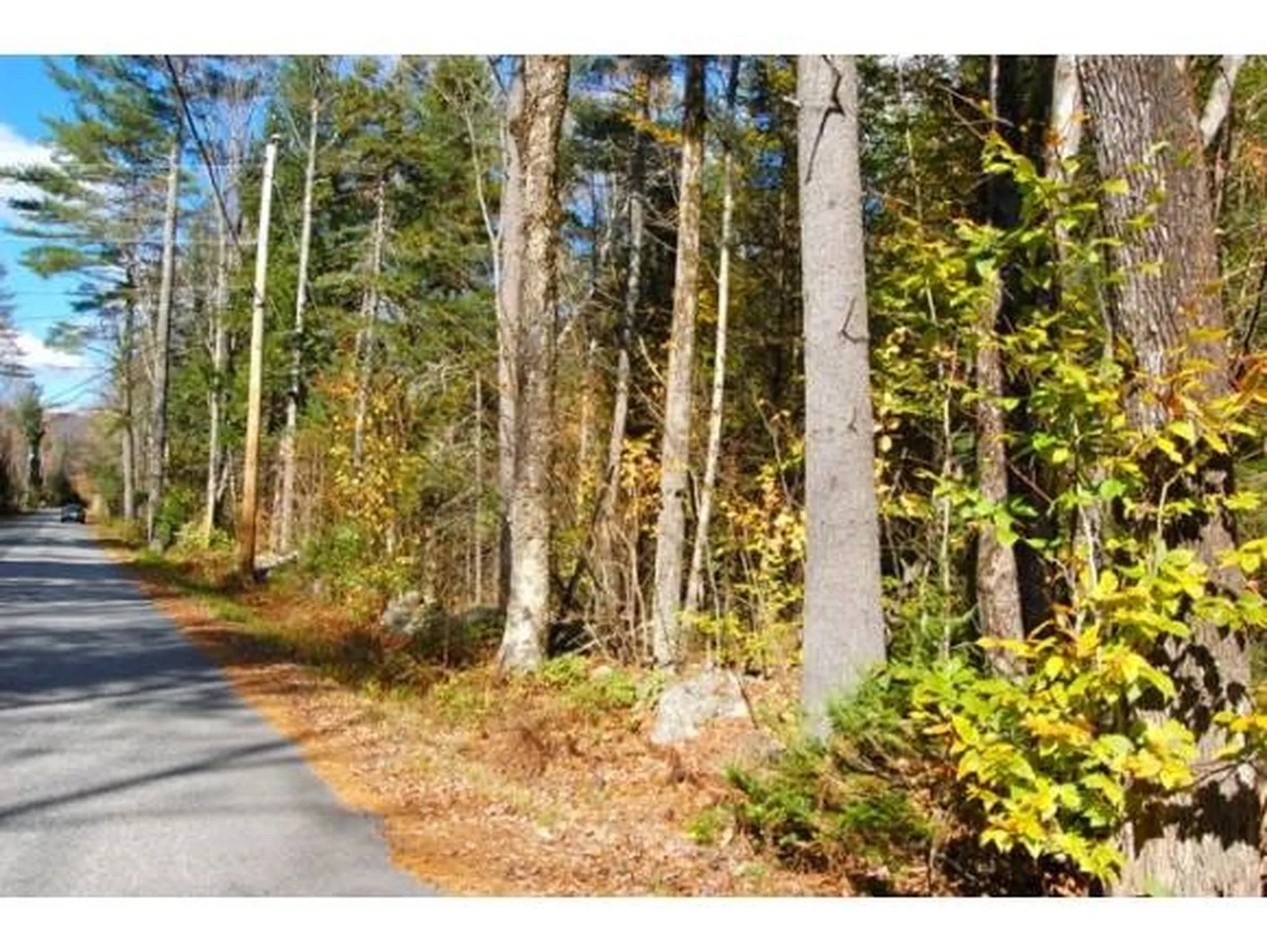 Miller Pond Road Grantham NH 03753