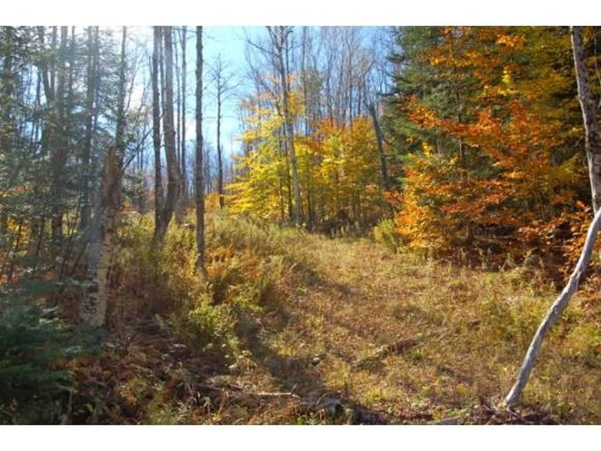 Miller Pond Road Grantham NH 03753