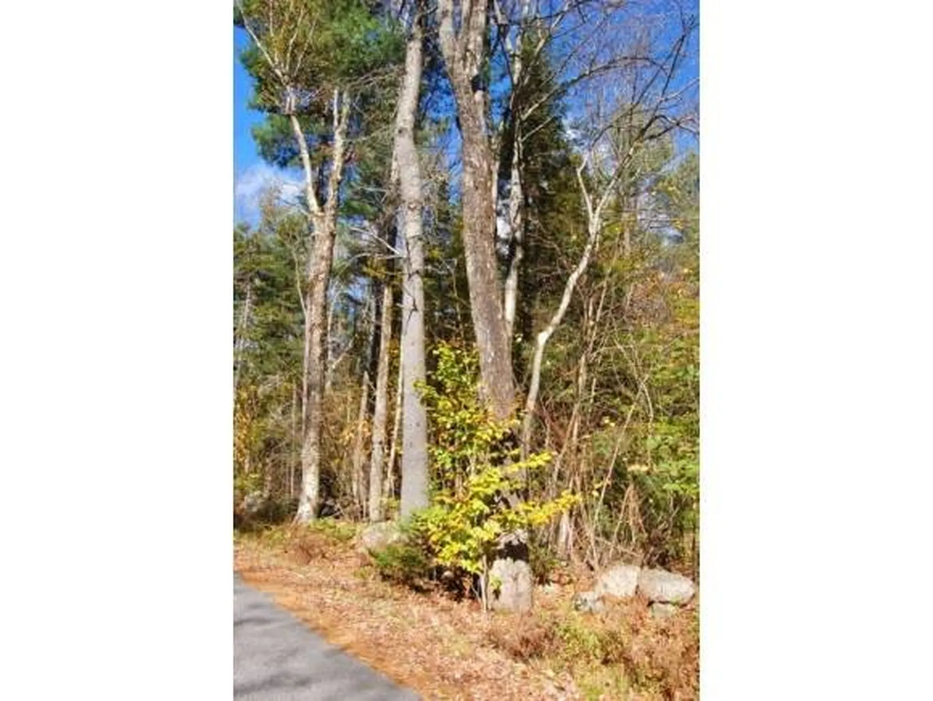 Miller Pond Road Grantham NH 03753