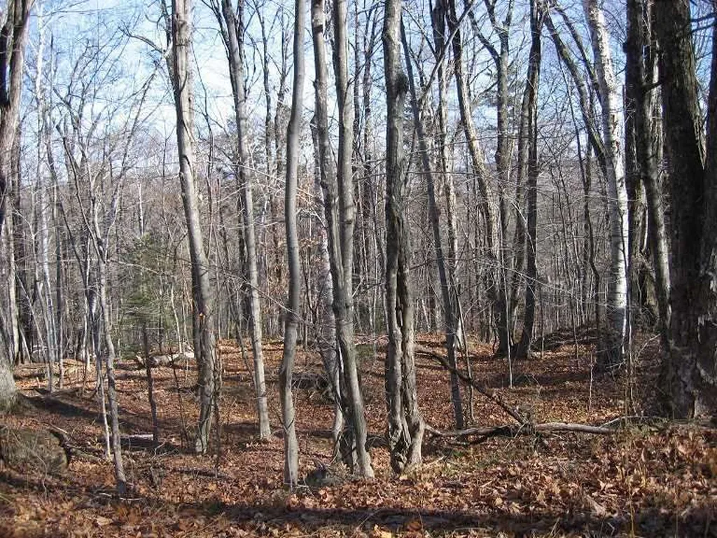 0 Birch Hill Road Windham VT 05359