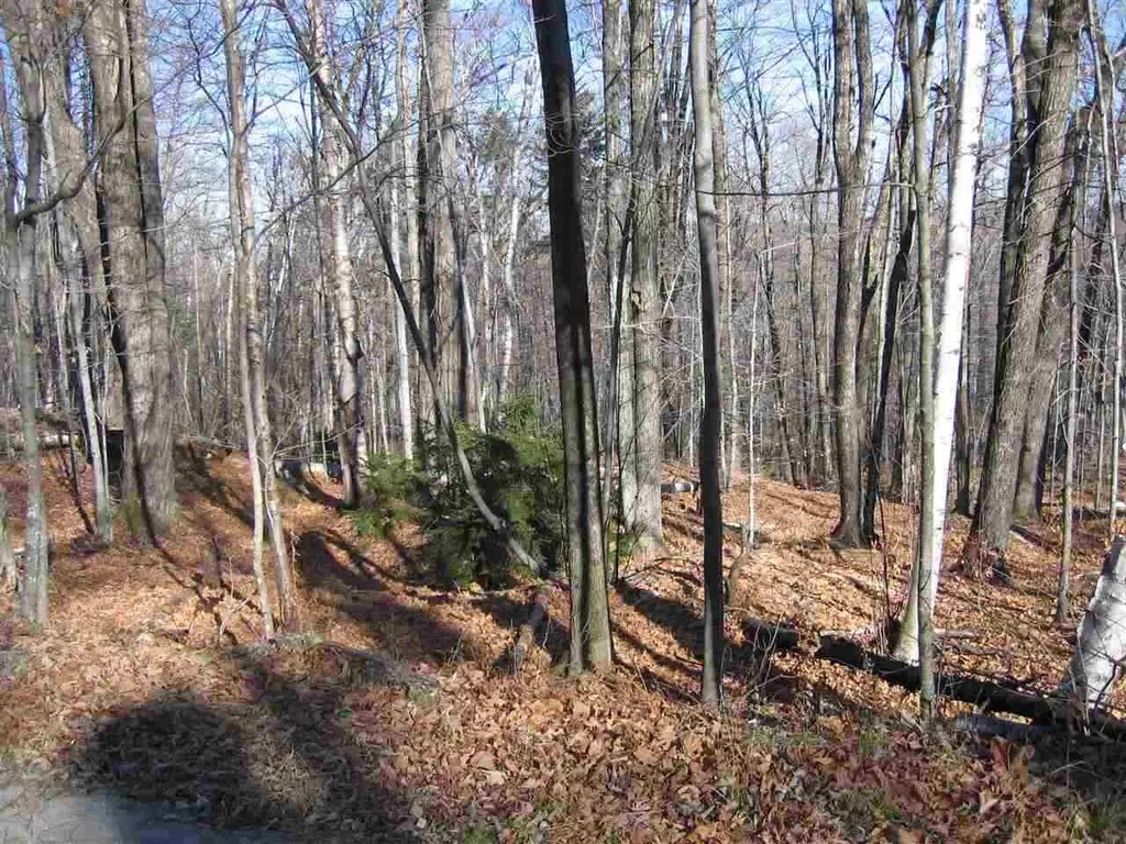 0 Birch Hill Road Windham VT 05359