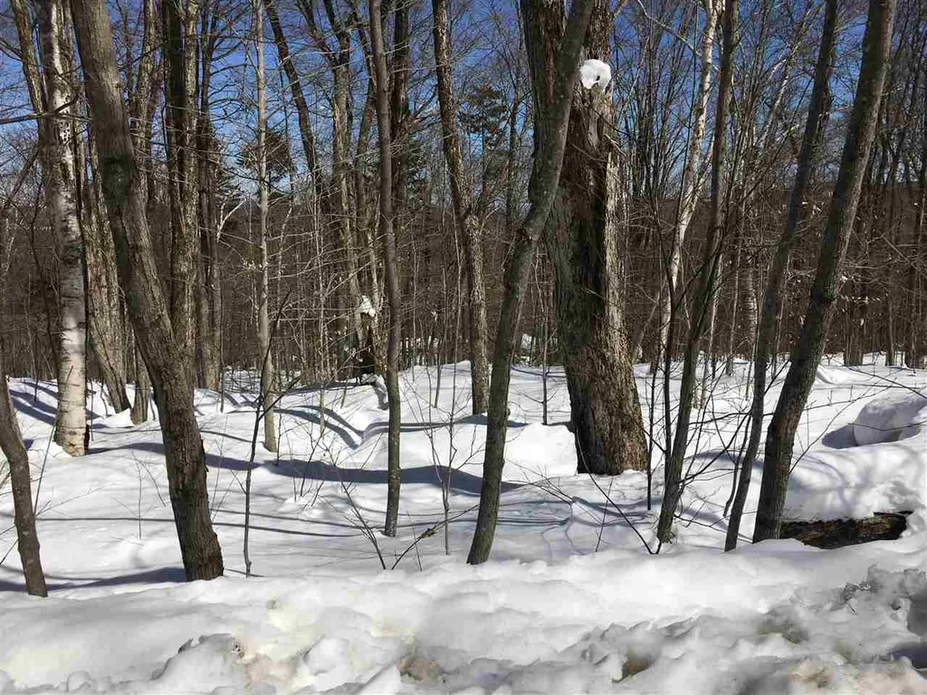 0 Birch Hill Road Windham VT 05359