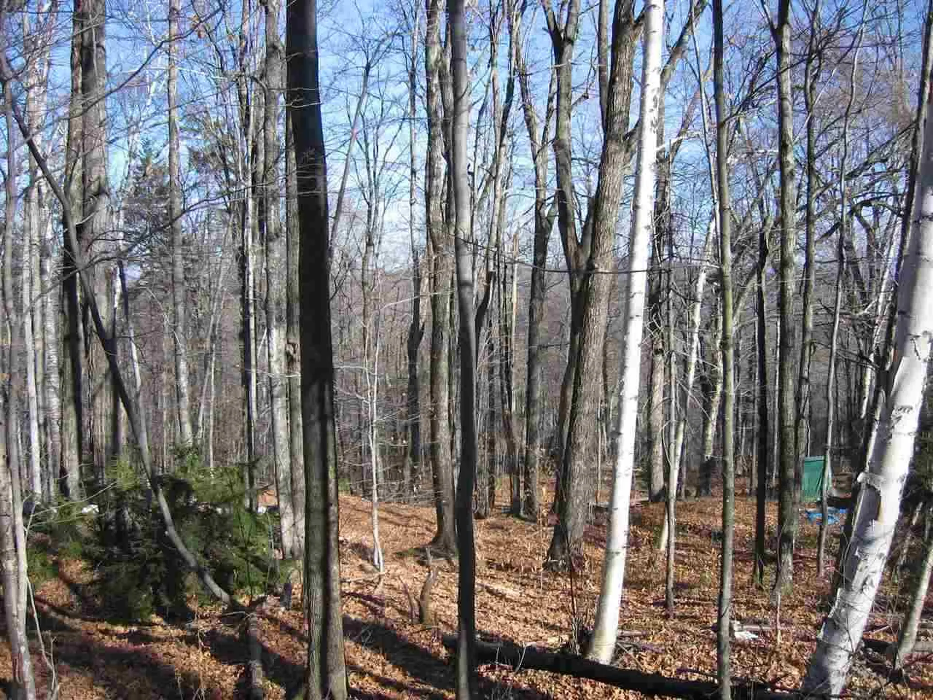 0 Birch Hill Road Windham VT 05359