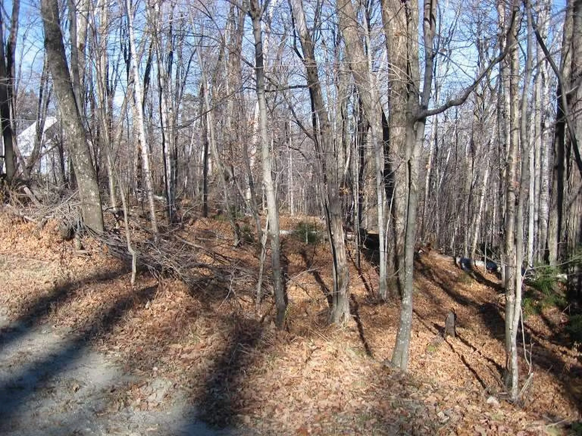 0 Birch Hill Road Windham VT 05359