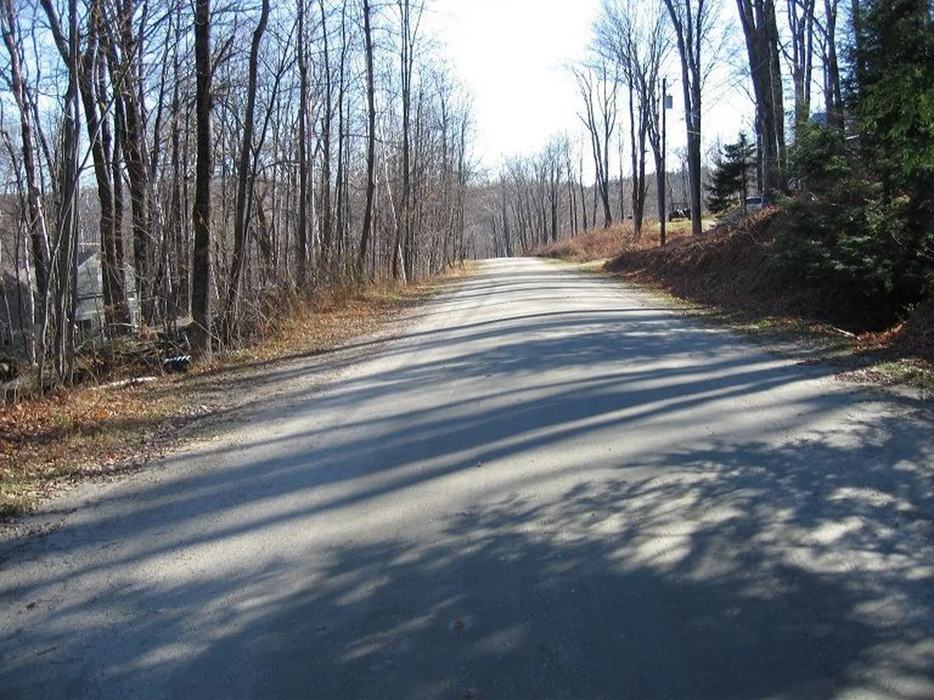0 Birch Hill Road Windham VT 05359