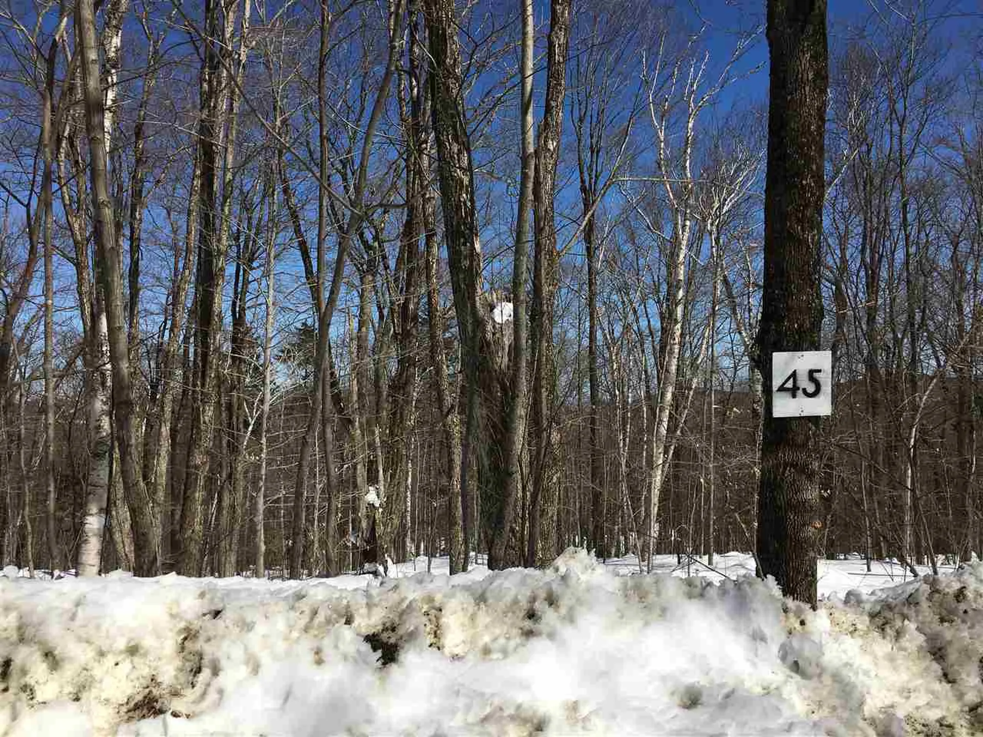 0 Birch Hill Road Windham VT 05359