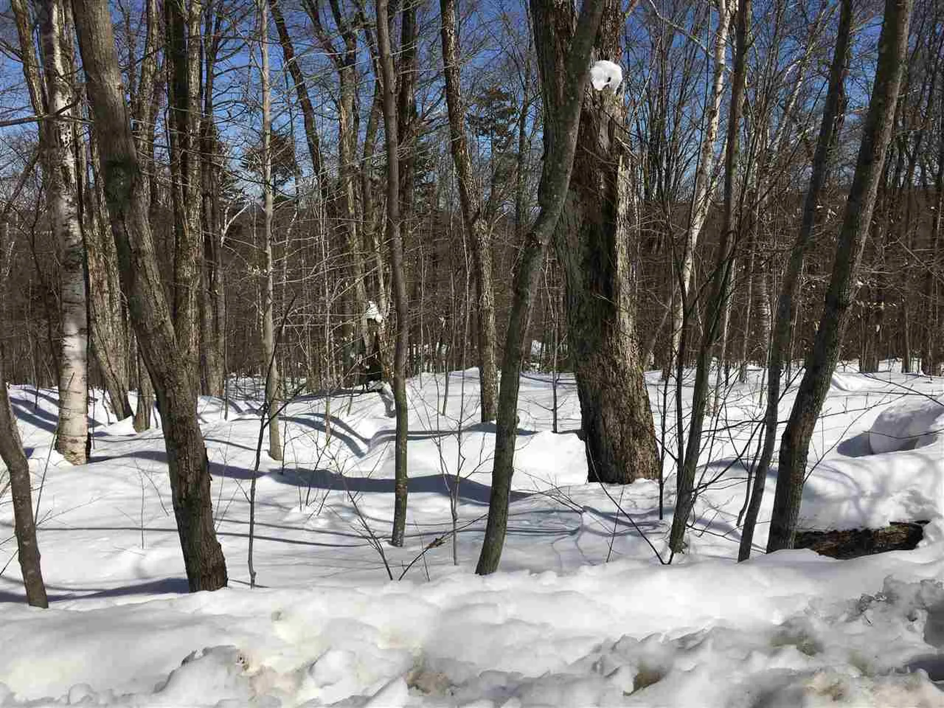 0 Birch Hill Road Windham VT 05359