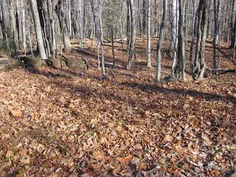 0 Birch Hill Road Windham VT 05359