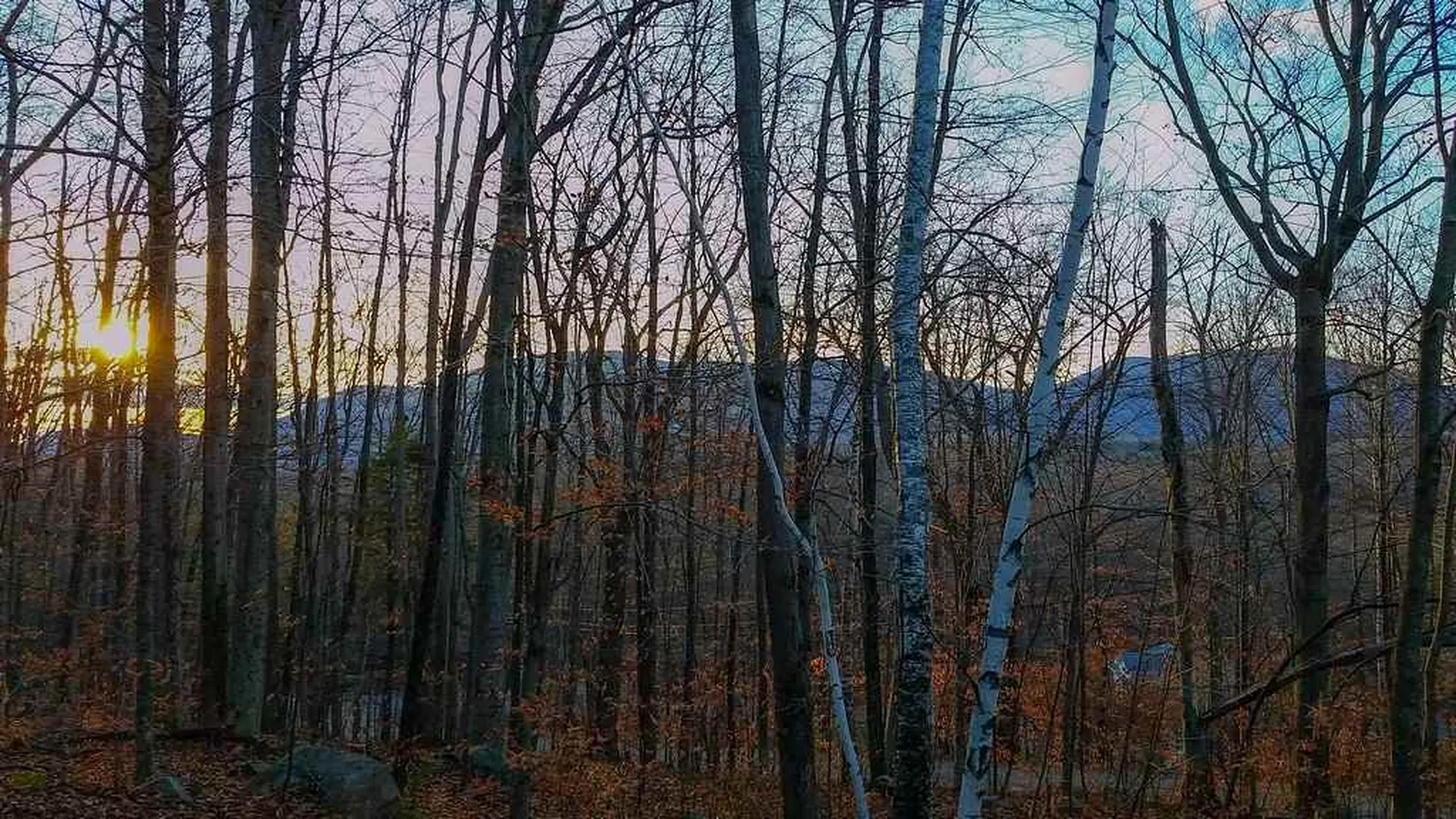 70 Little John Drive Manchester VT 05255
