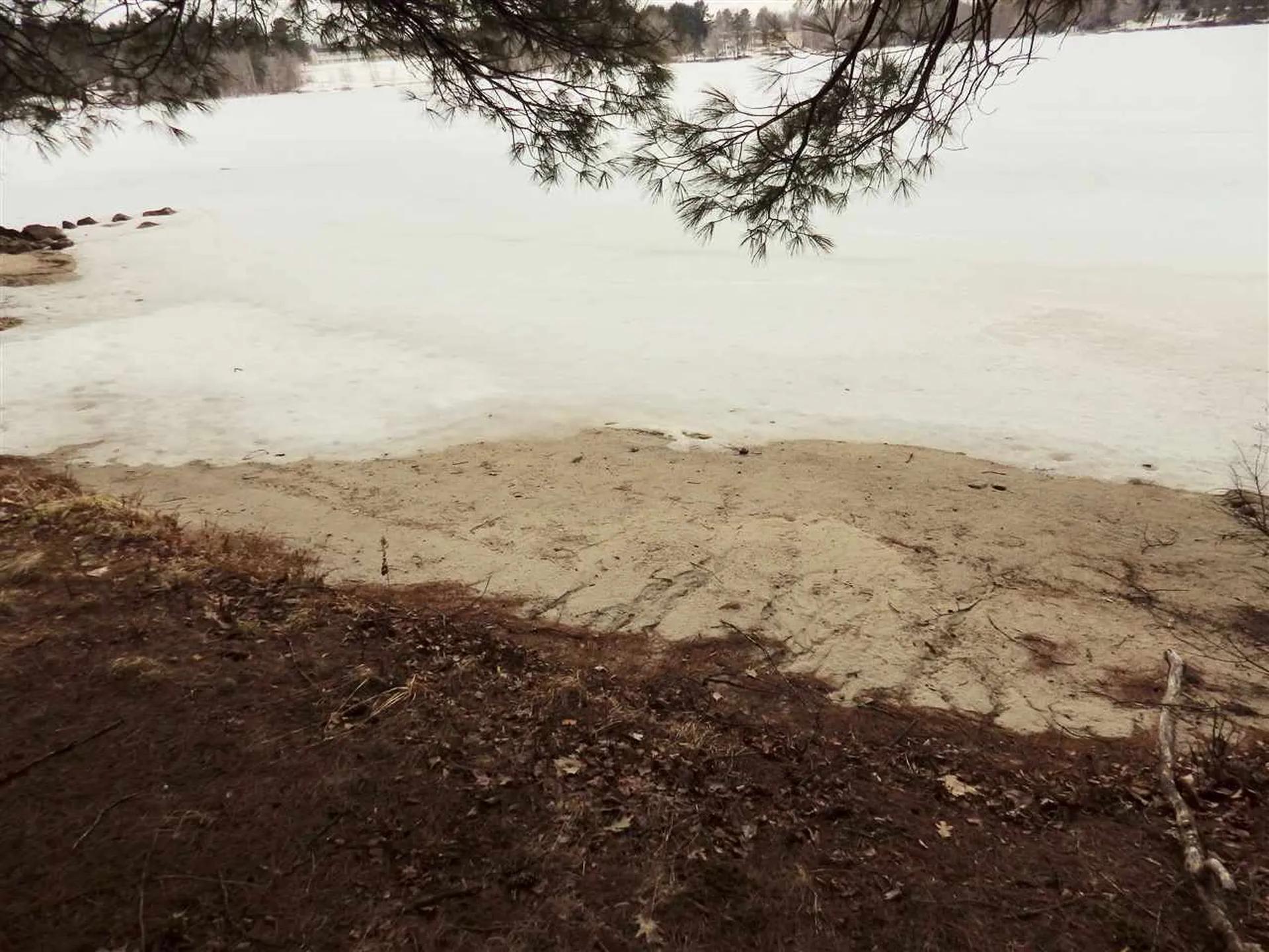 220 Mcmanus Road Wolfeboro NH 03894