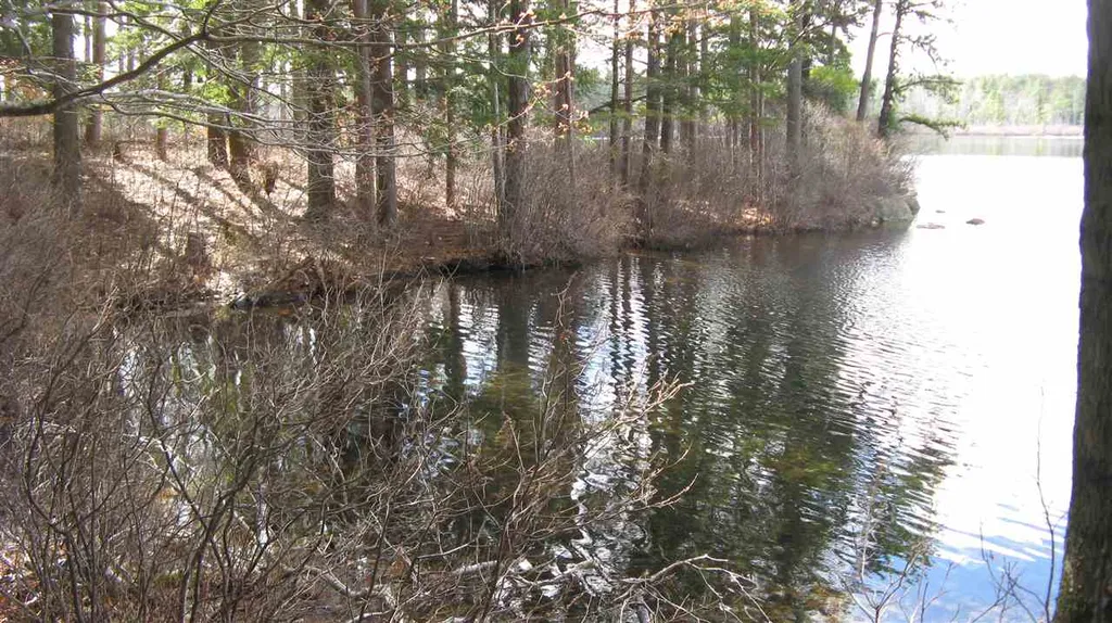 25 Brienne Road New Durham NH 03855