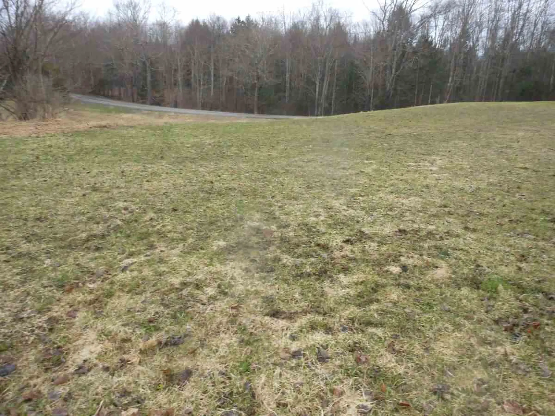 Lot 3 Locke Mill Lane Hyde Park VT 05655