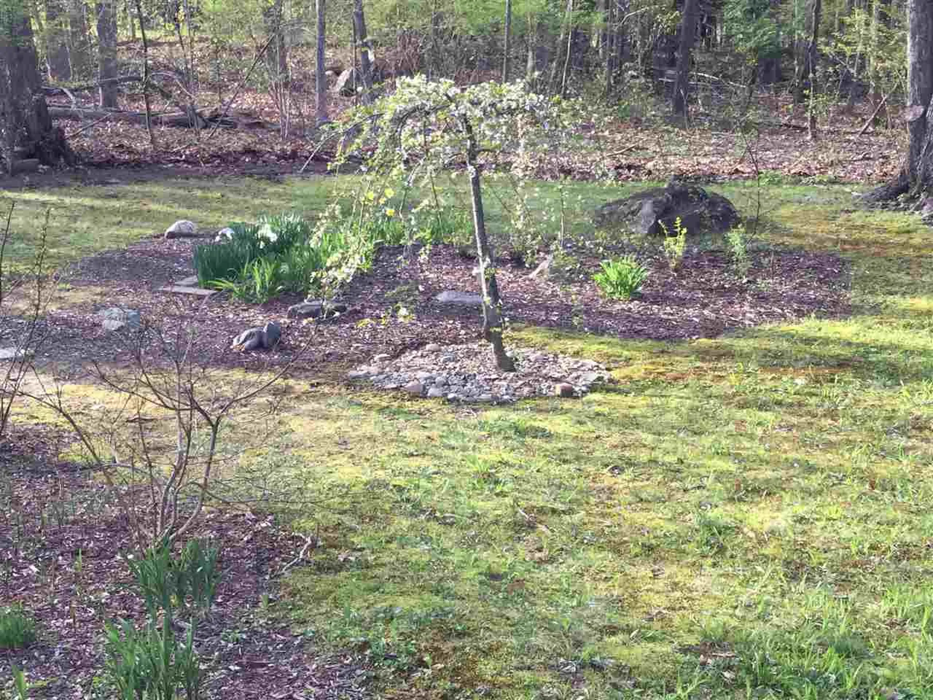 3 Pendexter Road Durham NH 03824