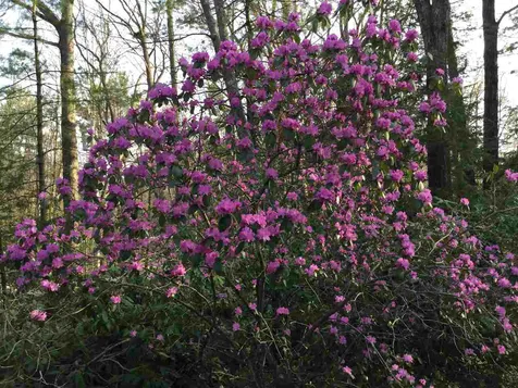 3 Pendexter Road Durham NH 03824