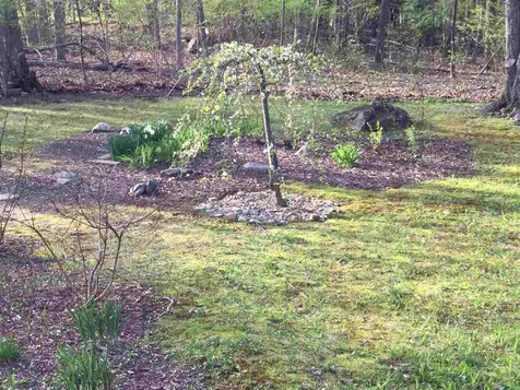 3 Pendexter Road Durham NH 03824