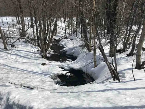 3654 Mountain Road Montgomery VT 05471