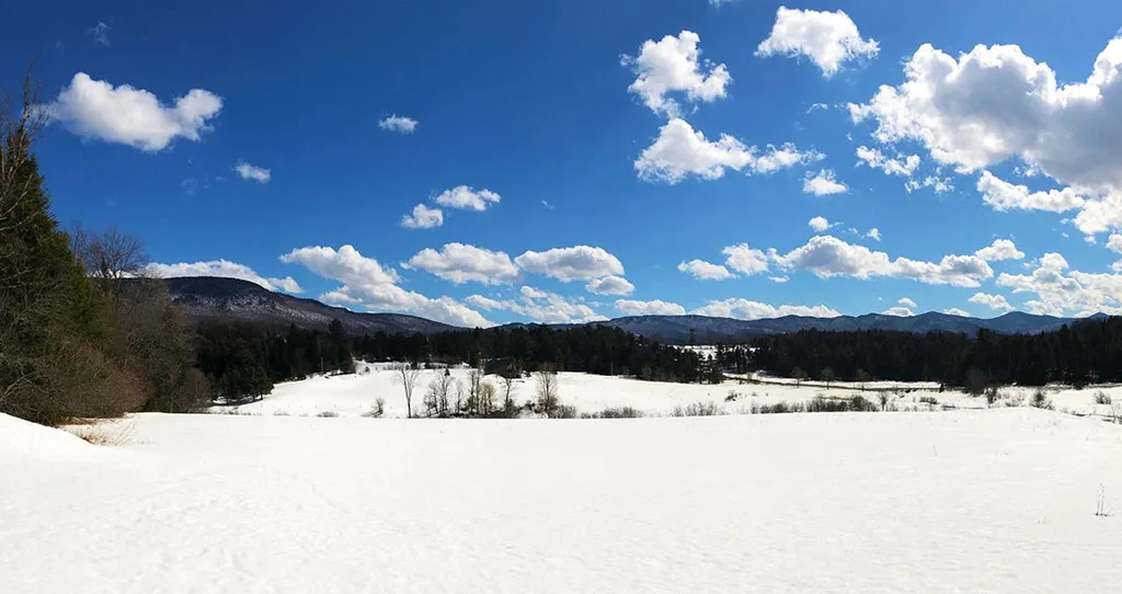 15 Fitzgerald Road Morristown VT 05661