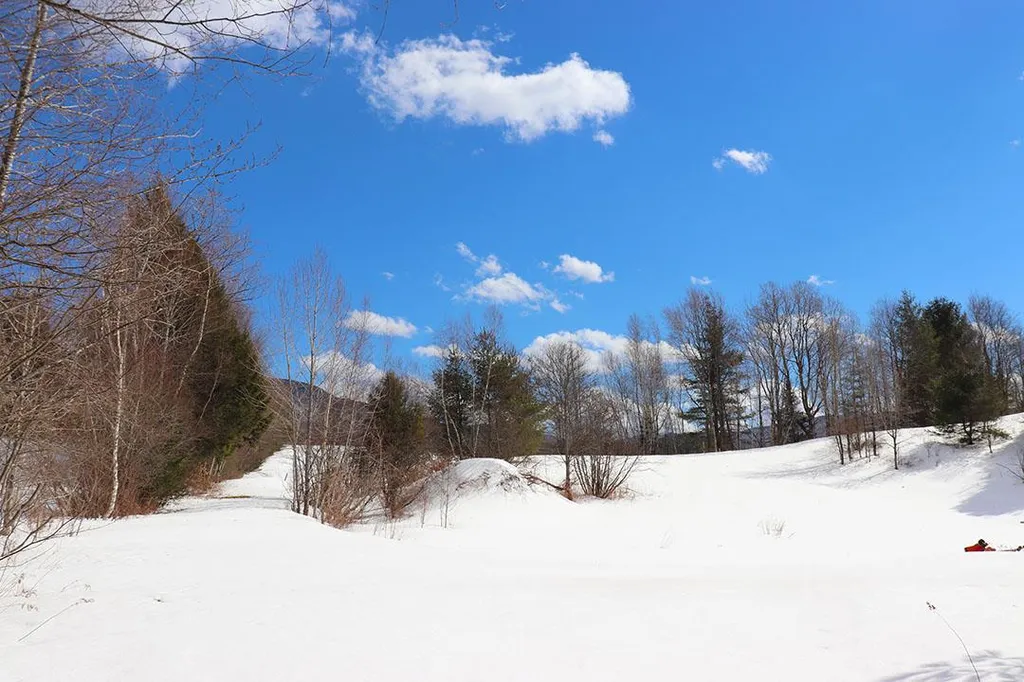 15 Fitzgerald Road Morristown VT 05661