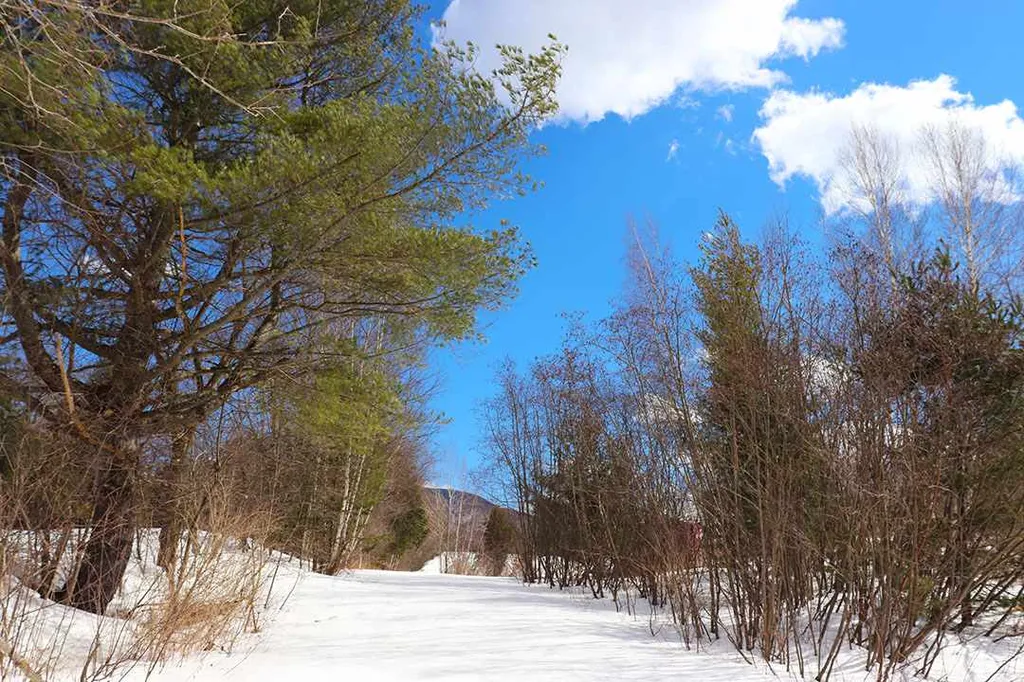15 Fitzgerald Road Morristown VT 05661