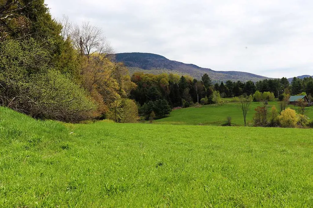 15 Fitzgerald Road Morristown VT 05661
