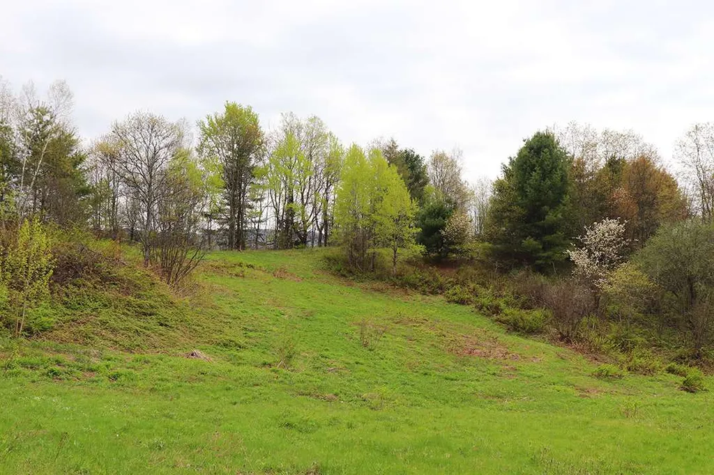 15 Fitzgerald Road Morristown VT 05661